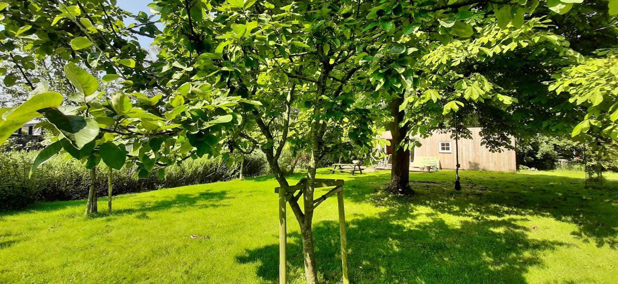 Vila Tobornottob Oosternijkerk Exteriér fotografie