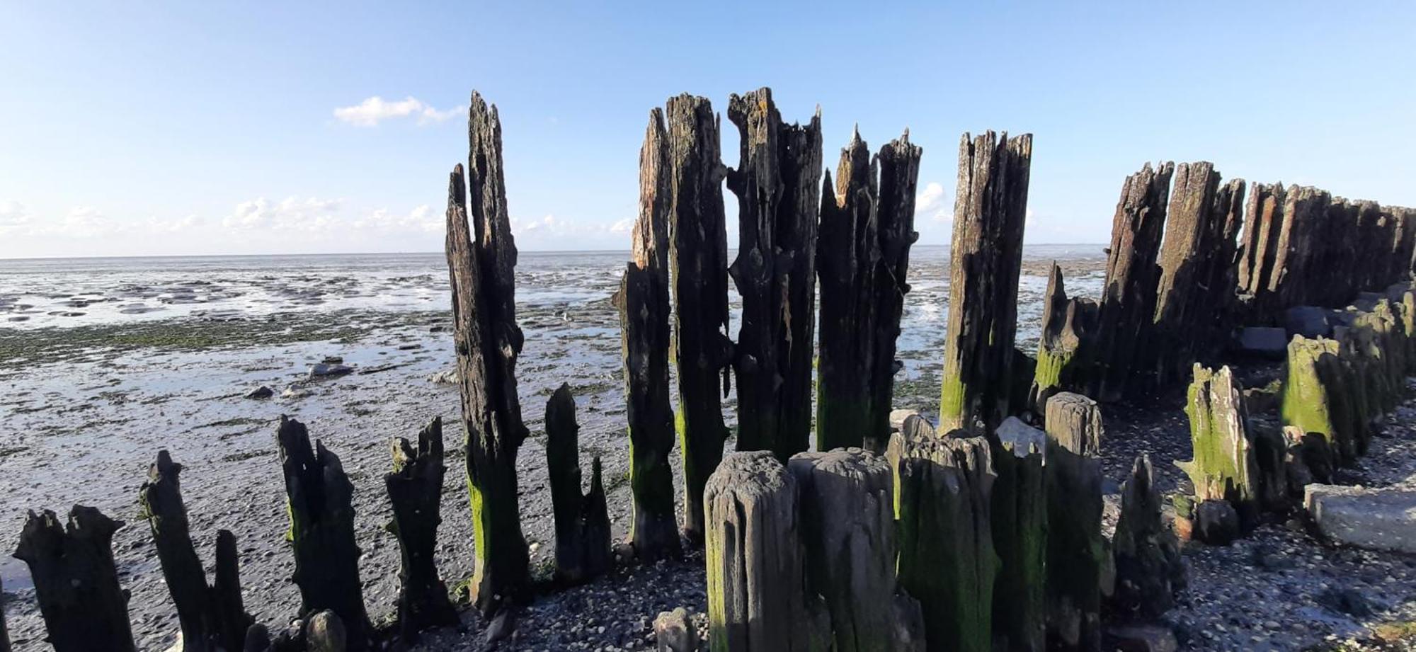Vila Tobornottob Oosternijkerk Exteriér fotografie